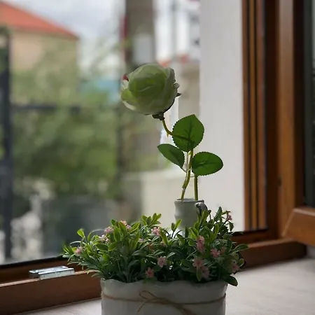 Pensionat Studio In Old Town- With Parking *
